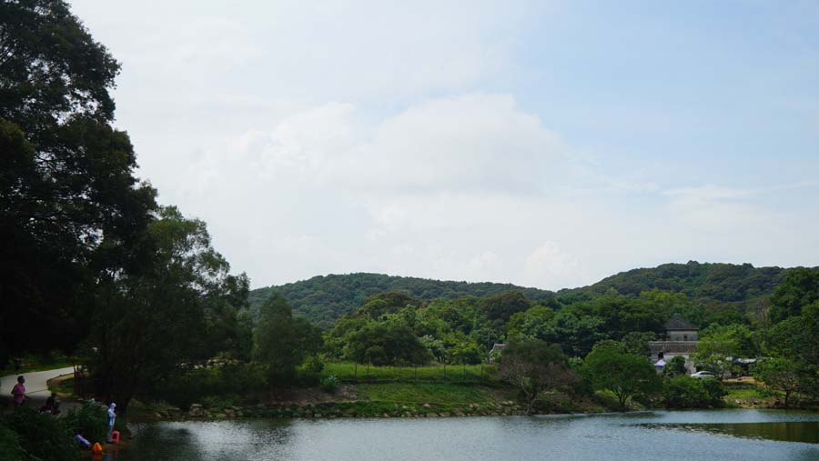 職能部門——踏青馬巒山樂享初夏