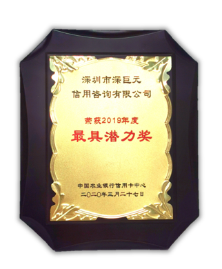 深巨元榮獲中國農(nóng)業(yè)銀行信用卡中心2019年度“最具潛力獎”